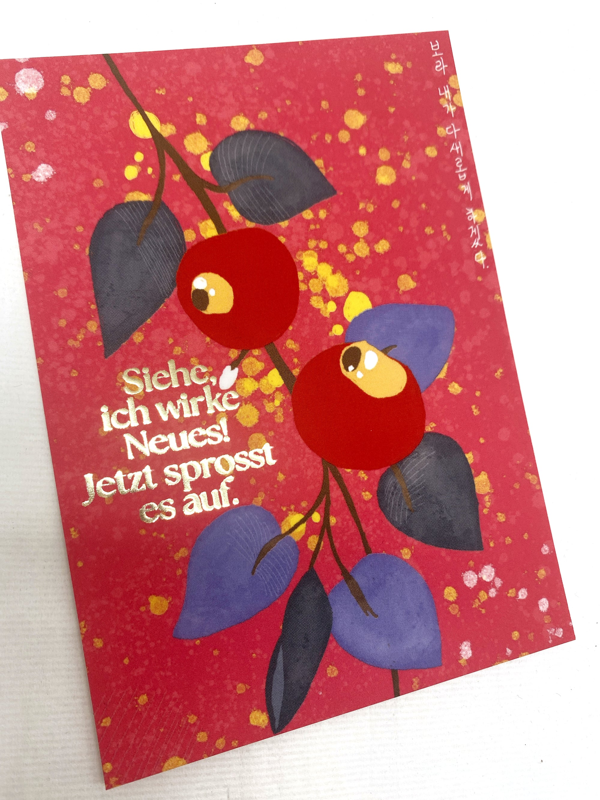 Postkarte "Siehe, ich wirke Neues"