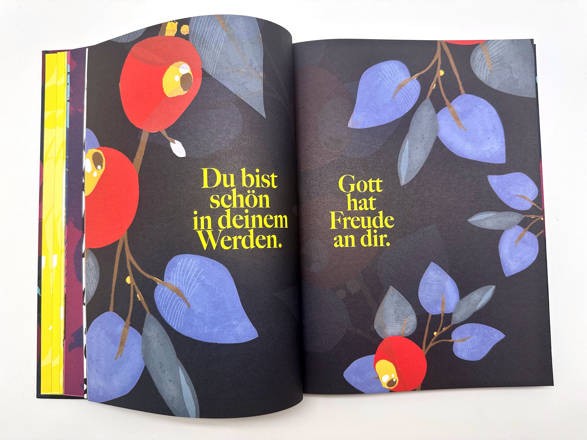 Freude-Buch