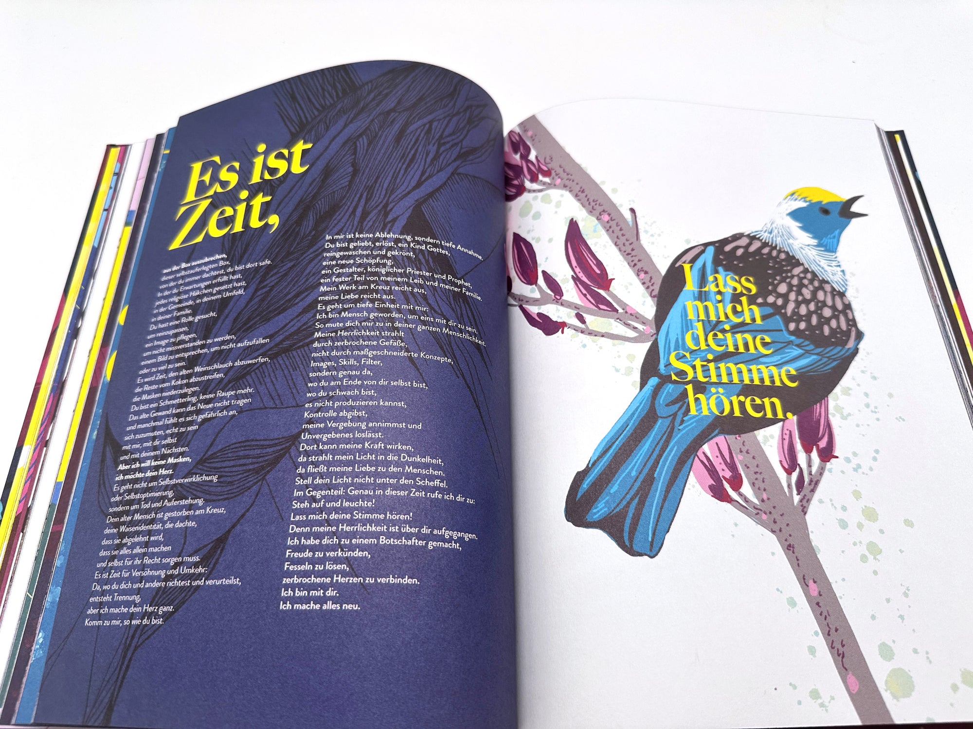 Freude-Buch